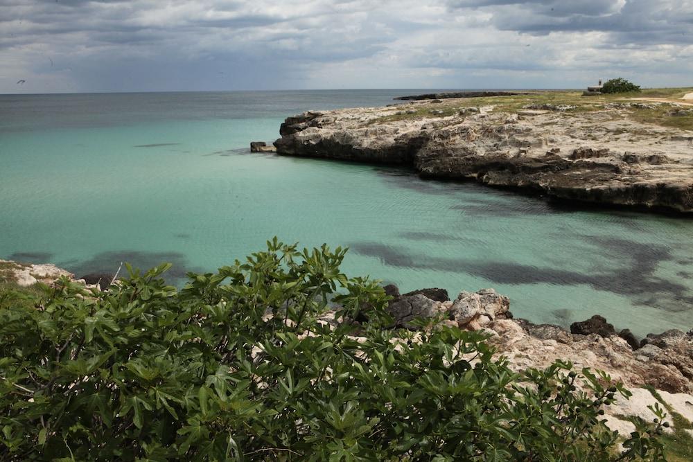 Playa Del Mar - Adults Only Bed and Breakfast Monopoli Eksteriør billede