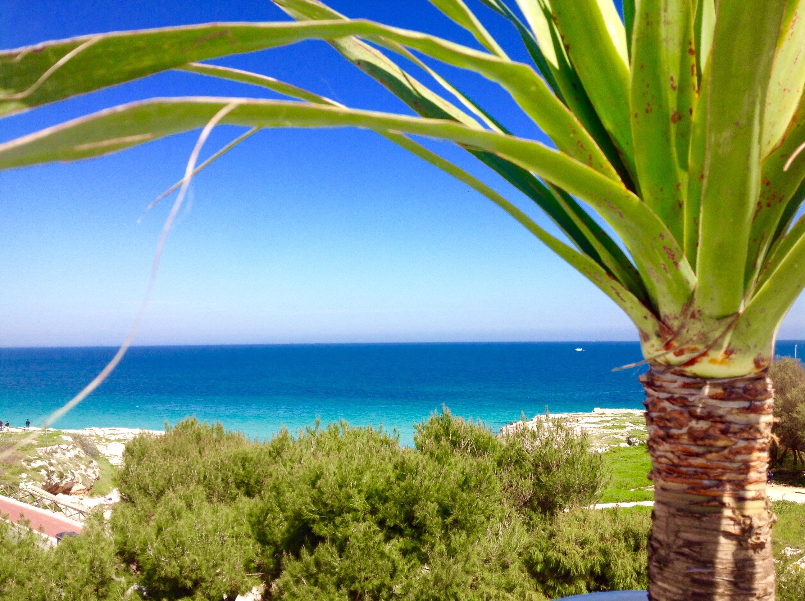 Playa Del Mar - Adults Only Bed and Breakfast Monopoli Eksteriør billede