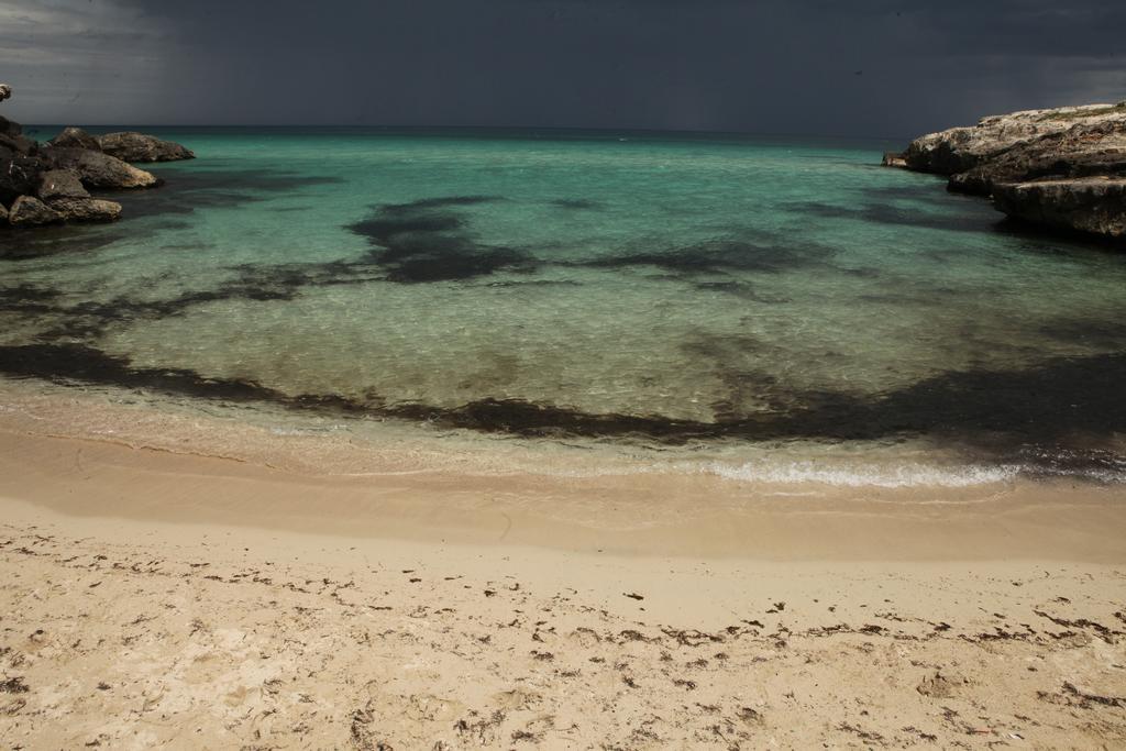 Playa Del Mar - Adults Only Bed and Breakfast Monopoli Eksteriør billede