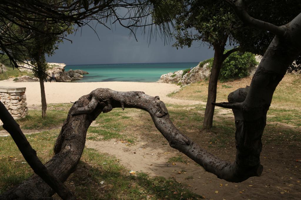 Playa Del Mar - Adults Only Bed and Breakfast Monopoli Eksteriør billede