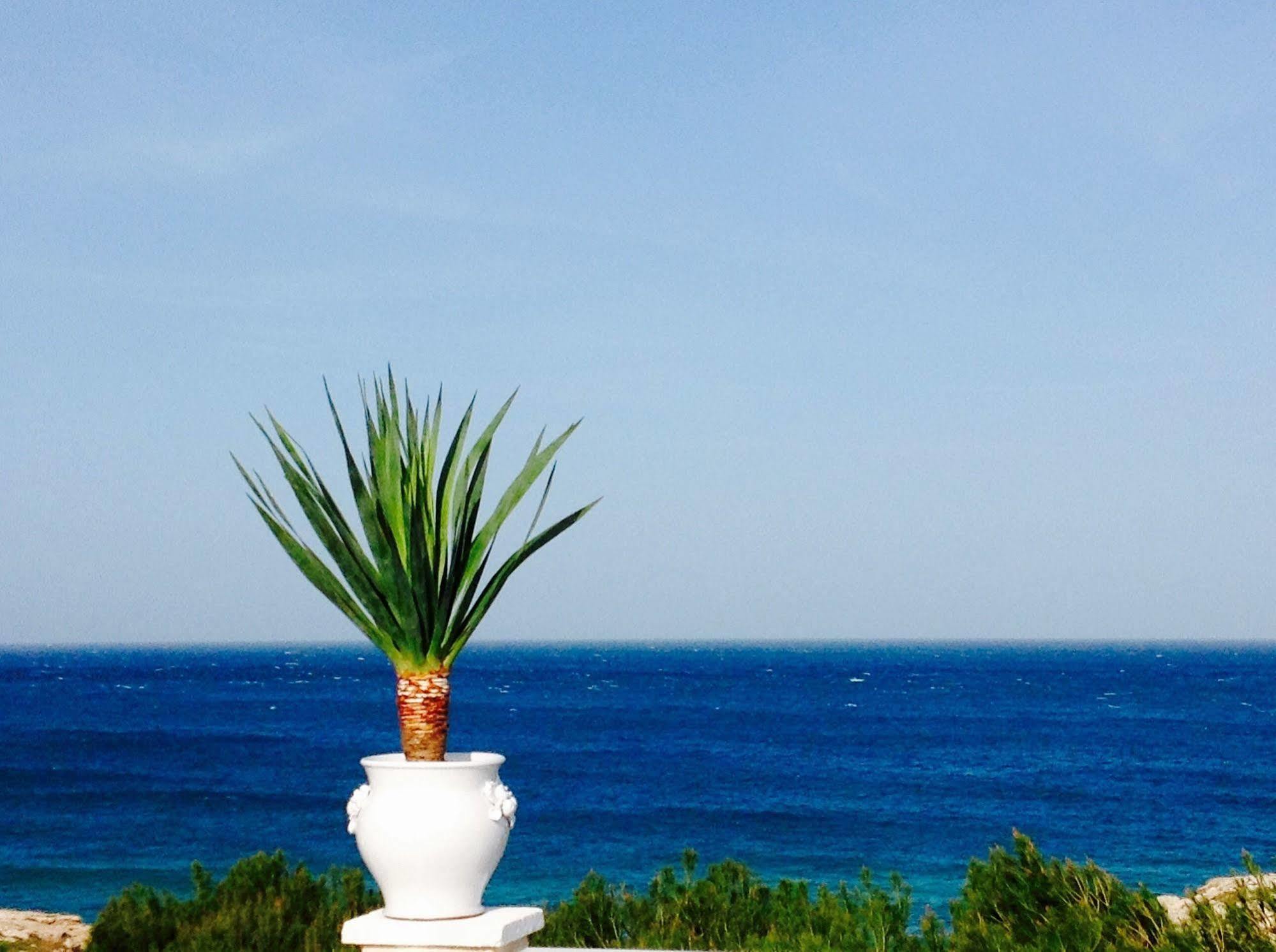 Playa Del Mar - Adults Only Bed and Breakfast Monopoli Eksteriør billede